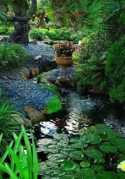 庭院水景五大类,喜欢水景的千万不要错过!
