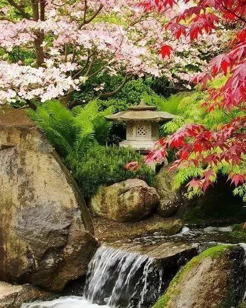 庭院水景五大类,喜欢水景的千万不要错过!
