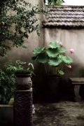 老石器，老院子，小院一方，安度余生