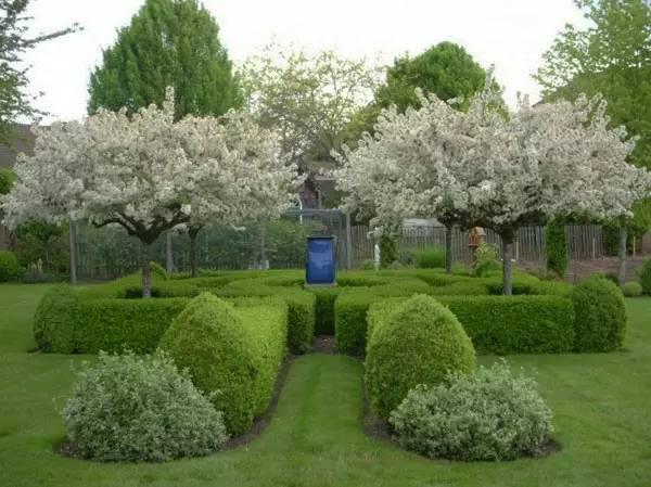 36个复古欧式花园别墅庭院景观，经典永远不会过时