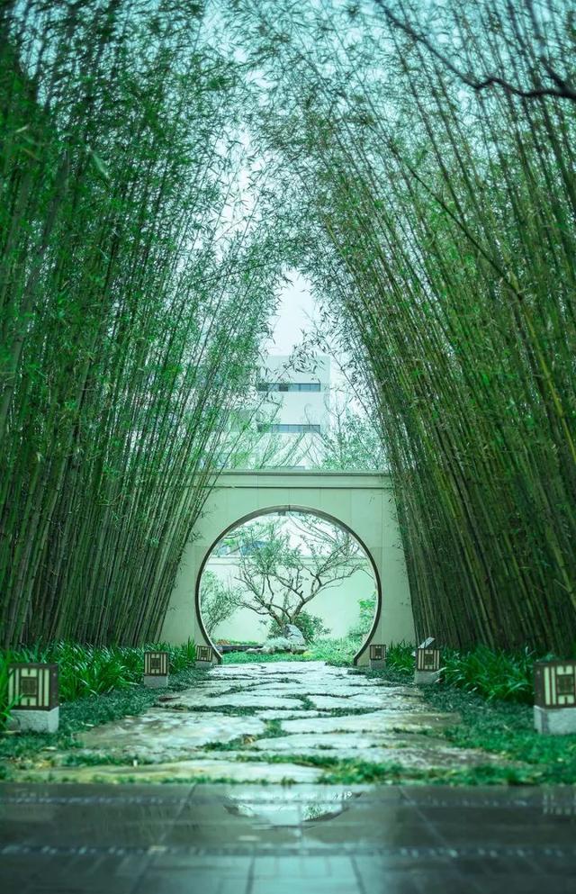 五个古香古色的中式庭院