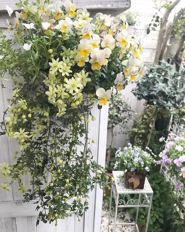 私家庭院花境维护需要多少工作量?