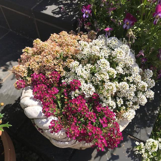 私家庭院花境维护需要多少工作量?