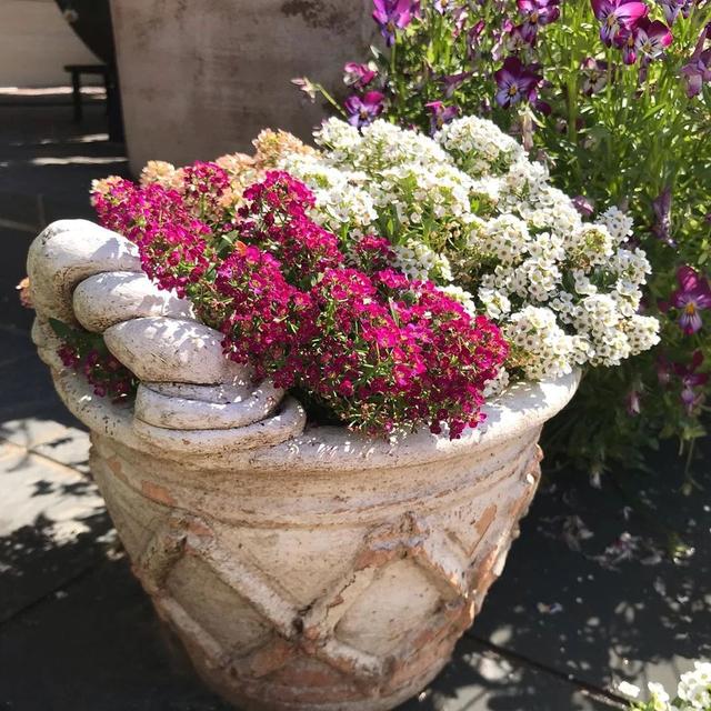 私家庭院花境维护需要多少工作量?