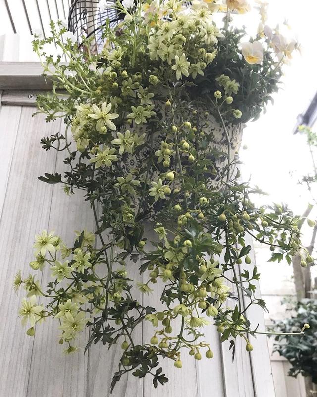 私家庭院花境维护需要多少工作量?