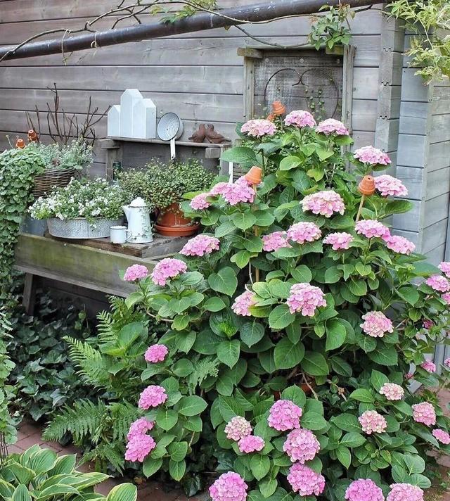 花园太小但又想建花境怎么办?