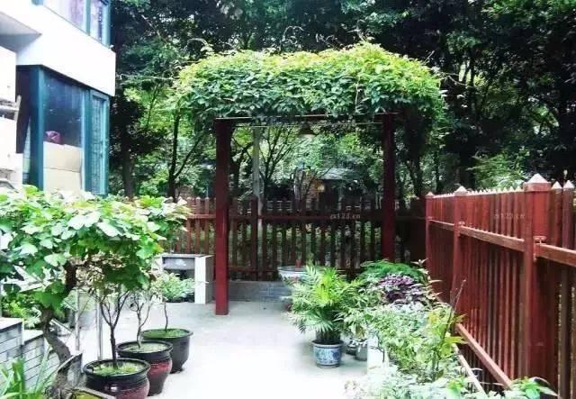 做自己庭院的设计师,造园或许没有想象的那么难