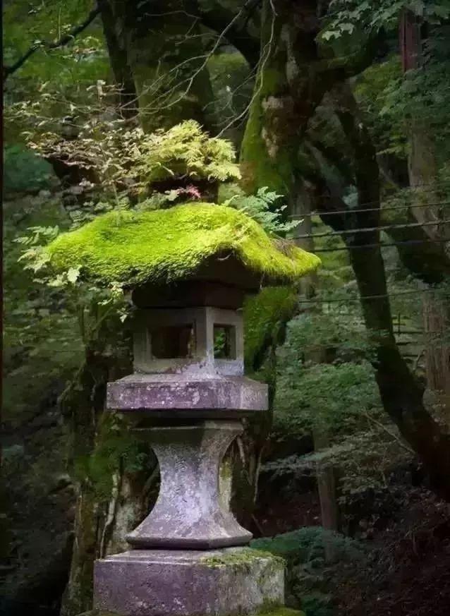 日式庭院景观空间的禅意塑造