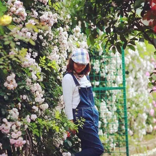 多多花园——没有围墙的私家花园,太撩人了