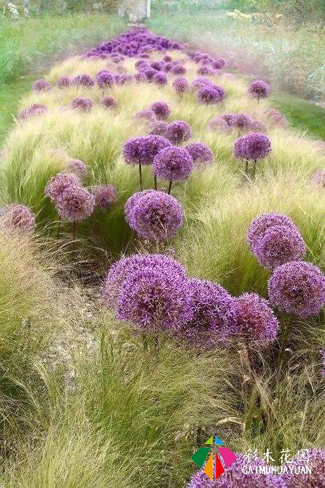 庭院花园“植物配置”六大秘诀，造一座个性的美丽花园