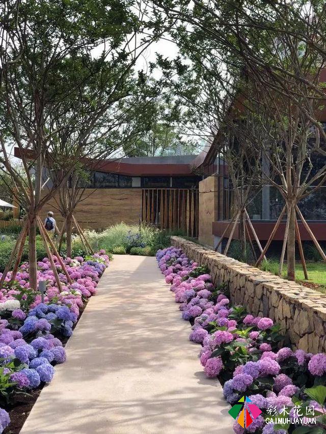 庭院花园“植物配置”六大秘诀，造一座个性的美丽花园