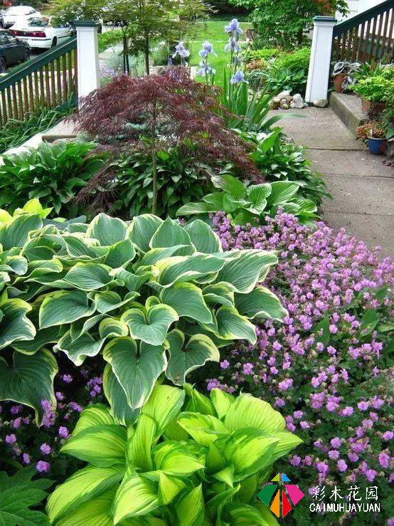 庭院花园“植物配置”六大秘诀，造一座个性的美丽花园
