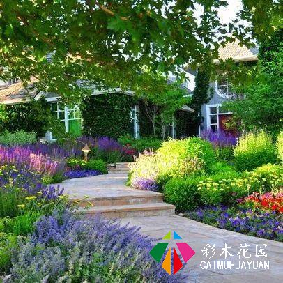 庭院花园“植物配置”六大秘诀，造一座个性的美丽花园
