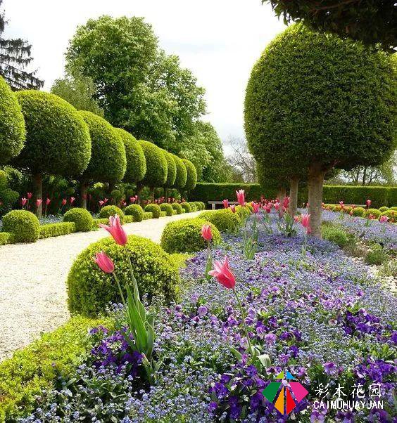 庭院花园“植物配置”六大秘诀，造一座个性的美丽花园