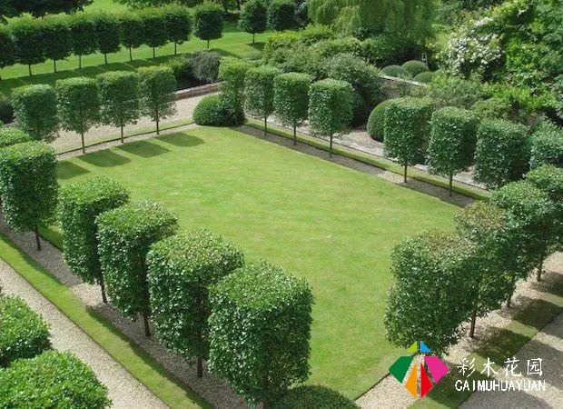 庭院花园“植物配置”六大秘诀，造一座个性的美丽花园
