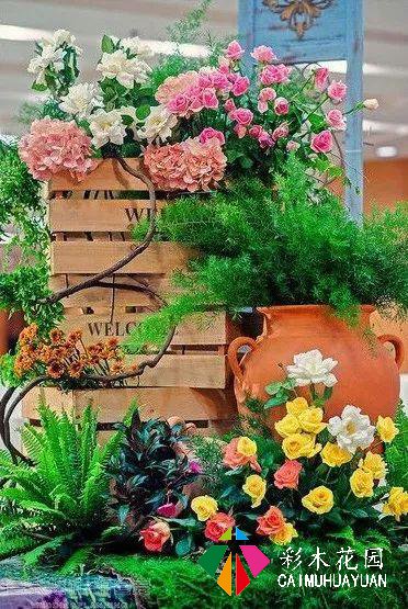 庭院花园“植物配置”六大秘诀，造一座个性的美丽花园