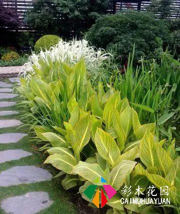 庭院花园“植物配置”六大秘诀，造一座个性的美丽花园
