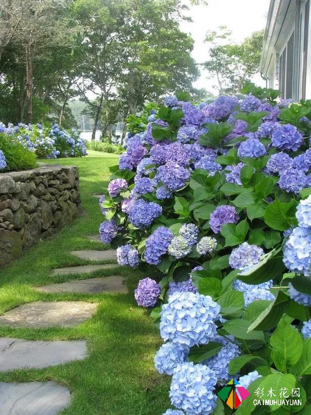 庭院花园“植物配置”六大秘诀，造一座个性的美丽花园