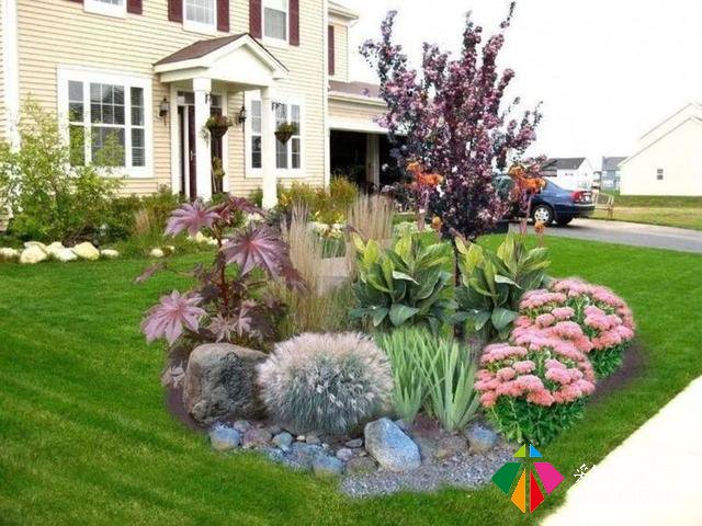 观赏草在小庭院设计中的应用方法，你知道多少？
