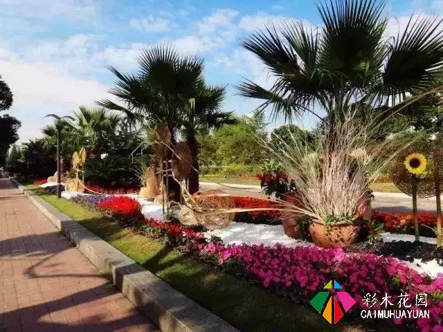 景观设计 | 花坛的常见类型及植物配置