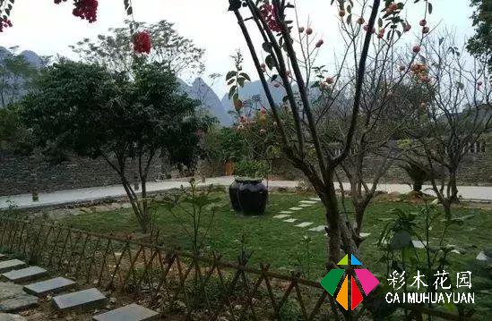 乡下的院子，为什么让人这么喜欢？
