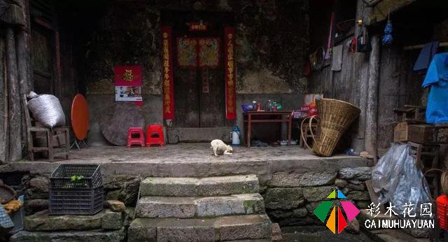 乡下的院子，为什么让人这么喜欢？