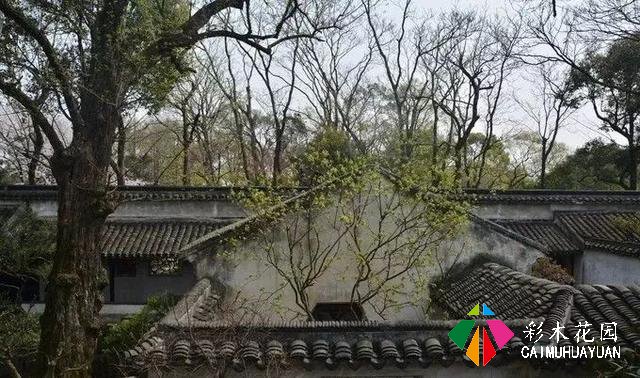 乡下的院子，为什么让人这么喜欢？