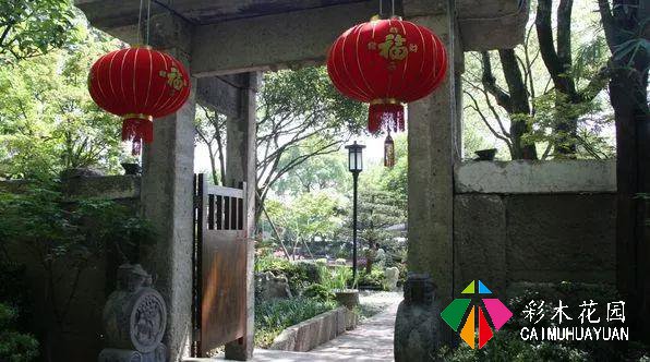 乡下的院子，为什么让人这么喜欢？