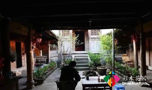 乡下的院子，为什么让人这么喜欢？