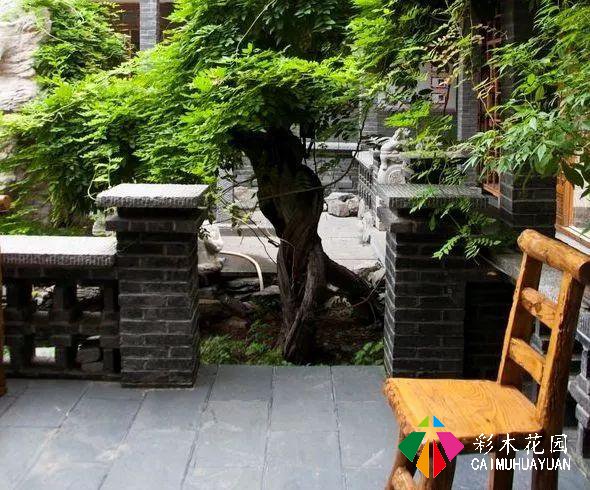 乡下的院子，为什么让人这么喜欢？
