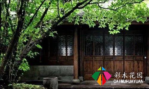 乡下的院子，为什么让人这么喜欢？