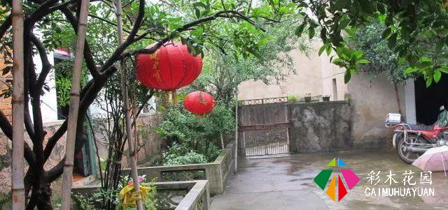 乡下的院子，为什么让人这么喜欢？