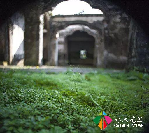 乡下的院子，为什么让人这么喜欢？