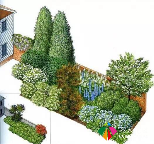如何做好一个小花园，小庭院？（尺寸、植物详解）