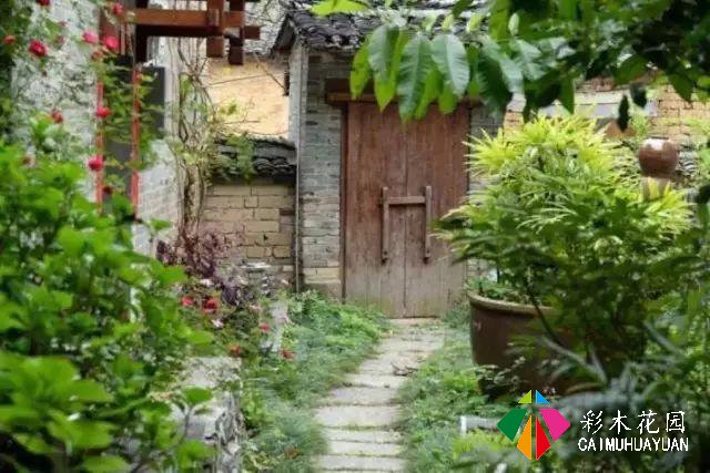 老外改的乡村民宿如此火热？他说：我打算在这里住一辈子