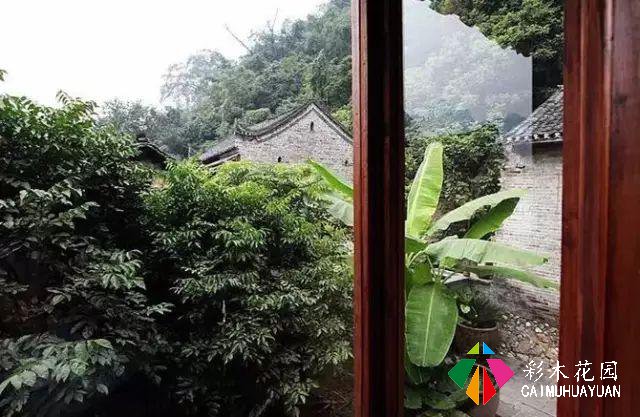 老外改的乡村民宿如此火热？他说：我打算在这里住一辈子