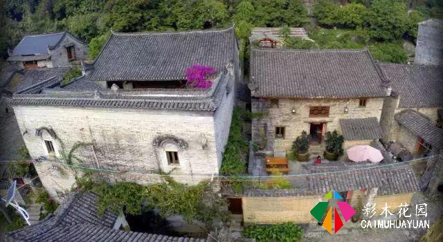 老外改的乡村民宿如此火热？他说：我打算在这里住一辈子