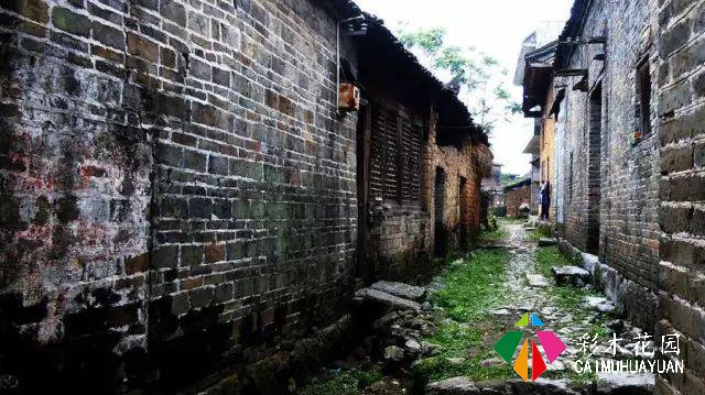 老外改的乡村民宿如此火热？他说：我打算在这里住一辈子