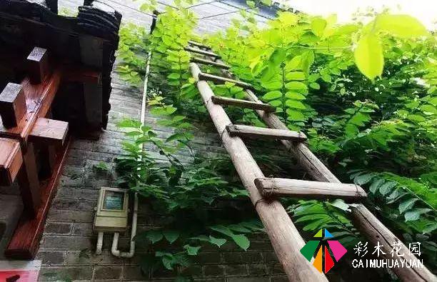 老外改的乡村民宿如此火热？他说：我打算在这里住一辈子