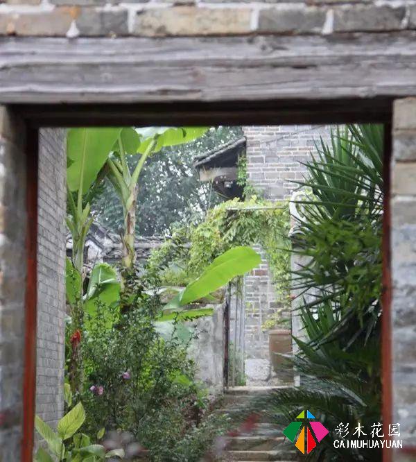 老外改的乡村民宿如此火热？他说：我打算在这里住一辈子