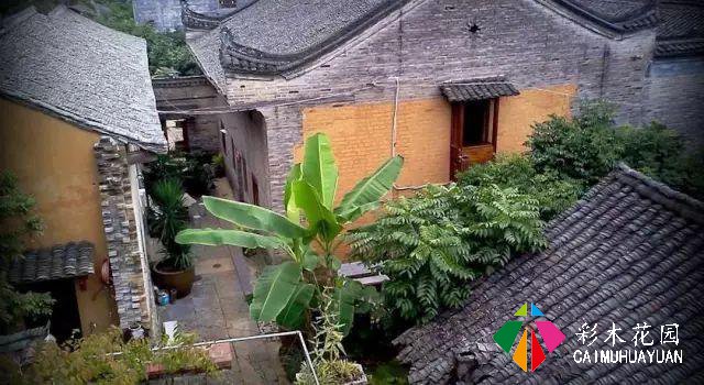 老外改的乡村民宿如此火热？他说：我打算在这里住一辈子