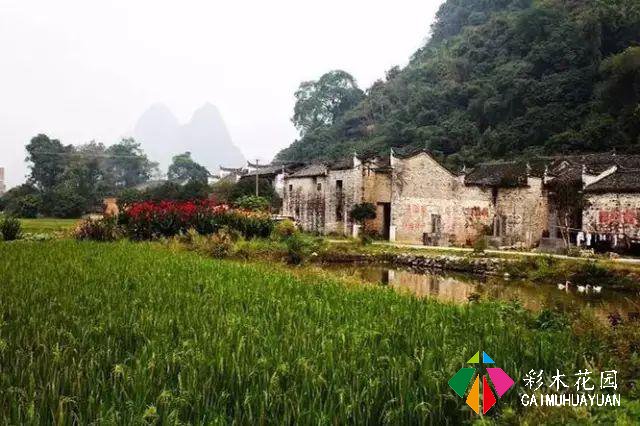 老外改的乡村民宿如此火热？他说：我打算在这里住一辈子