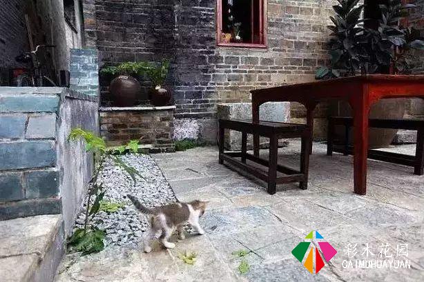 老外改的乡村民宿如此火热？他说：我打算在这里住一辈子
