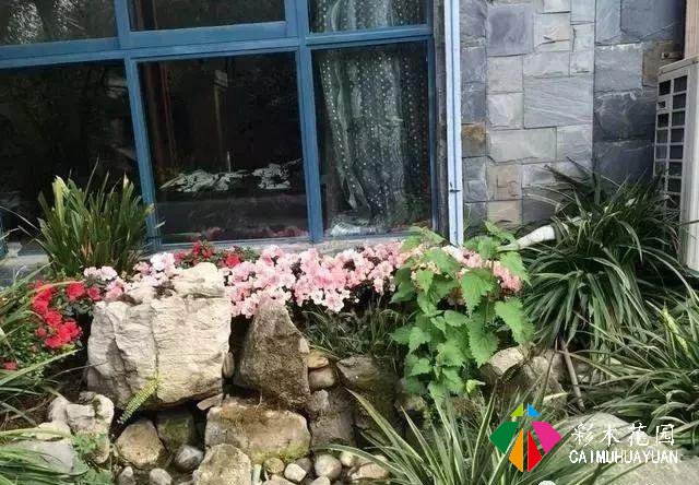疫情还在蔓延全球，何不在家，造个“接地气”的私家庭院？
