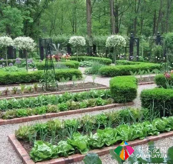 疫情还在蔓延全球，何不在家，造个“接地气”的私家庭院？