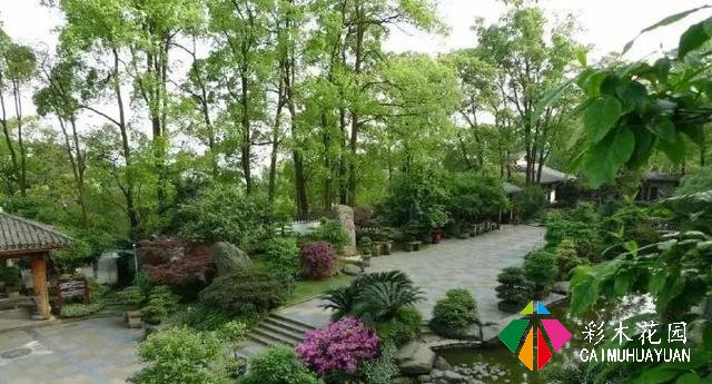 「庭院生活」之所以把“家”叫“家庭”，就是因为家家都有庭院