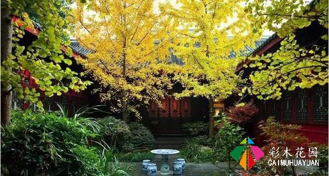 「庭院生活」之所以把“家”叫“家庭”，就是因为家家都有庭院