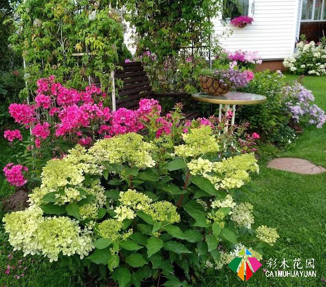 小庭院景观设计——利用小庭院植物形成边界