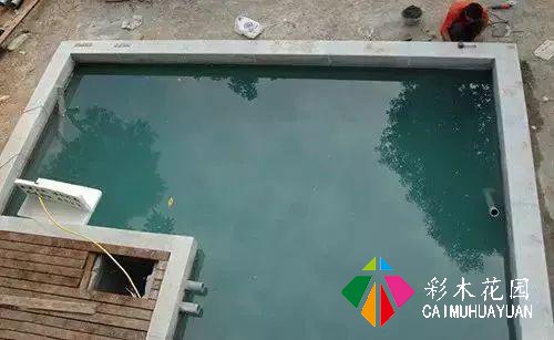 庭院生活——水深2米，70吨的锦鲤池，图文直播