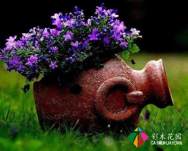 18个预算比较少的后院DIY美化ideas,激发你的灵感